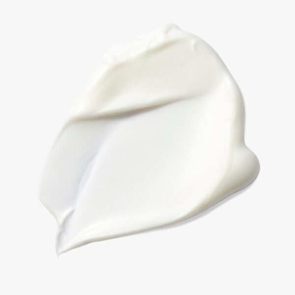 MasqueAntiRidesNocturne2 MasqueAntiRidesNocturne2